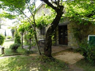 Agriturismo Borgo Santa Maria - Monteleone dʼOrvieto - 3