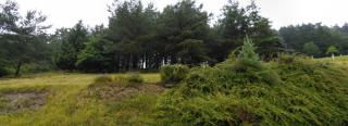 Les Tiennes - Treignes - 1