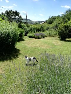 Les Tiennes - Treignes - 9