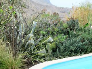 vivelorural Casa en risco de agaete con piscina - 1