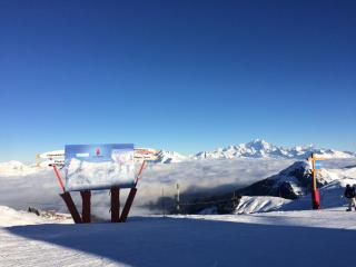 Campanule - Champagny-en-Vanoise - 4