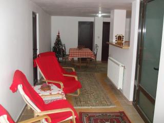 Pensiunea Soimul - Băile Herculane - 3