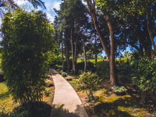 Villa Aurora Caprese - Capri - 4