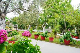 Studios Panagiotas House Astris - 4