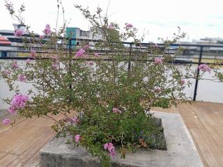 Huglampang Boutique Hotel - 3