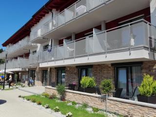 Apartmán Monika - Lipno nad Vltavou - 9