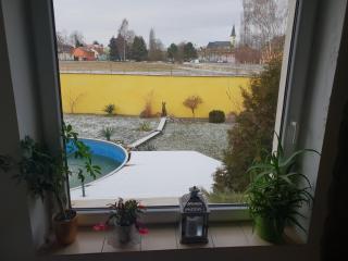 Farm Stay NH Stables - 5