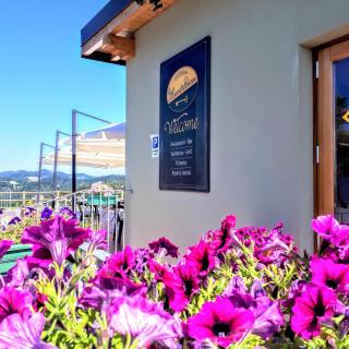 B&B with pool La Montaldina Piemonte - Spigno Monferrato - 1