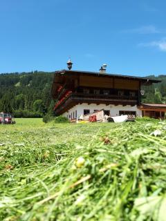 Walchauhof - 2