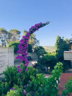 Le stanze di Botticelli - Termoli - 7