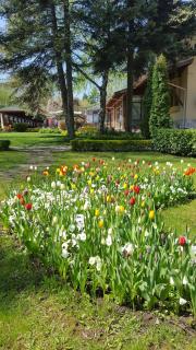 Family Hotel Residence - 1