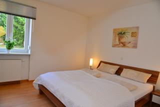 Falkenhof premium - Ferienwohnung - Bayerisch Eisenstein - 2