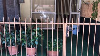 Edelvais Guest House - Primorsko - 1