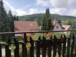 Deštné 371 - Buďte na horách jako doma - 7