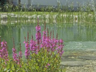 Hotel Tirolerhof - 8