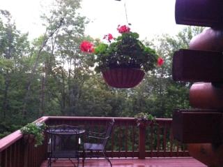 The Catskill Cabin - Elka Park - 1