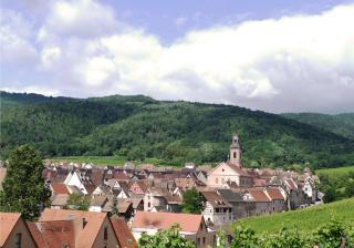 Gîte l'Agapé - Riquewihr - 7