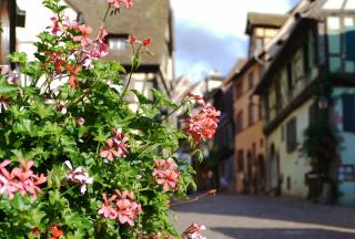Gîte l'Agapé - Riquewihr - 6