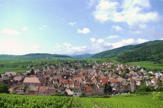 Gîte l'Agapé - Riquewihr - 4