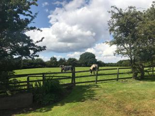Rylands Farm Guest House - 1