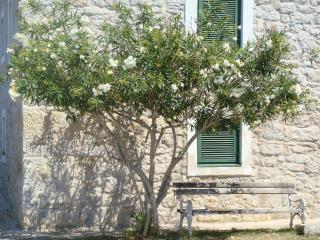Apartments Martina - Vodice - 8