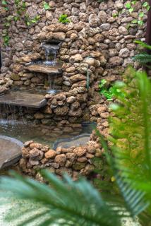 Etobicoke -Стаи за гости - 6