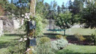 Quinta Vale do Nox - Serrazes - 4