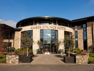 Amber Springs Hotel - Gorey - 3