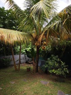 Ti Coco - 1