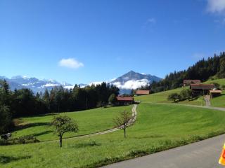 Hotel Rothorn Vintage-Style - Schwanden - 7