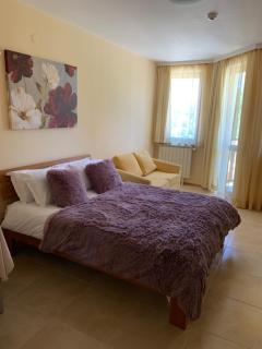Studios-Villa Park SV - Borovets - 5