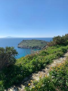 Andros - Agia Eleousa - 5
