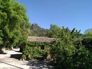 Casas Rurales Picos Del Oso - Riópar - 5