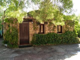 Casas Rurales Picos Del Oso - Riópar - 9