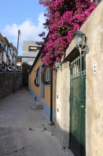 Great & Cosy Foz Velha - Porto - 8