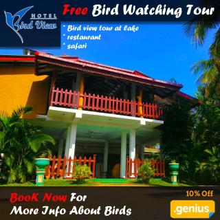 Hotel Birds View - Tissamaharama - 4