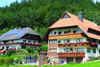 Schlosshof - der Urlaubsbauernhof - Elzach - 0
