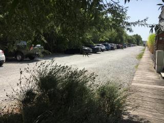 Bootshaus am See - Neusiedl am See - 8