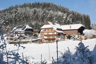 Schlosshof - der Urlaubsbauernhof - Elzach - 5
