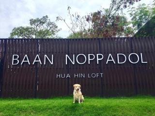 Baan Noppadol Hua Hin Loft - 3