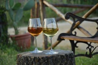 Agriturismo Masseria La Chiusa - San Giuseppe Jato - 1