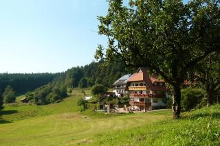 Schlosshof - der Urlaubsbauernhof - Elzach - 8