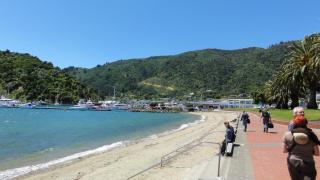 Astonishing Views Superb Waterfront Apartment - Picton - 1