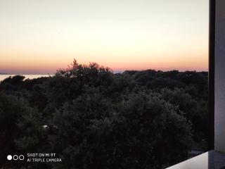 Apartment Feliks - Mandre - 8