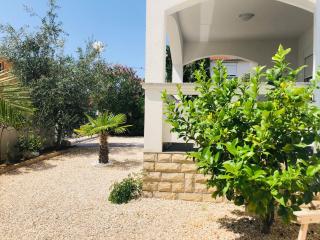 Vir Holidays - Vir - 4