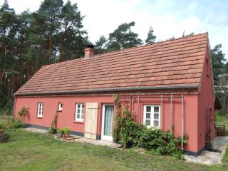 Ferienhaus am Wald mit Klavier, Holzofen, Sauna - Alt Jabel - 9
