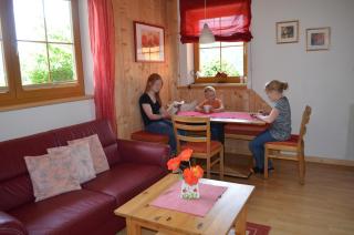 Appartement Van Dijk - Haus im Ennstal - 8