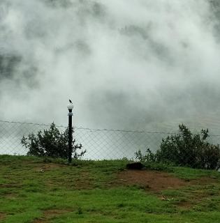 The Bowers Chalet - Ooty - 3