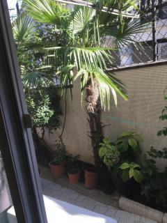 10 b shindisi street,Tbilisi - Tbilisi - 6