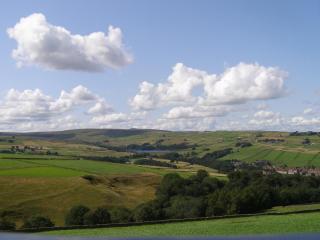Coddy's Farm - 3